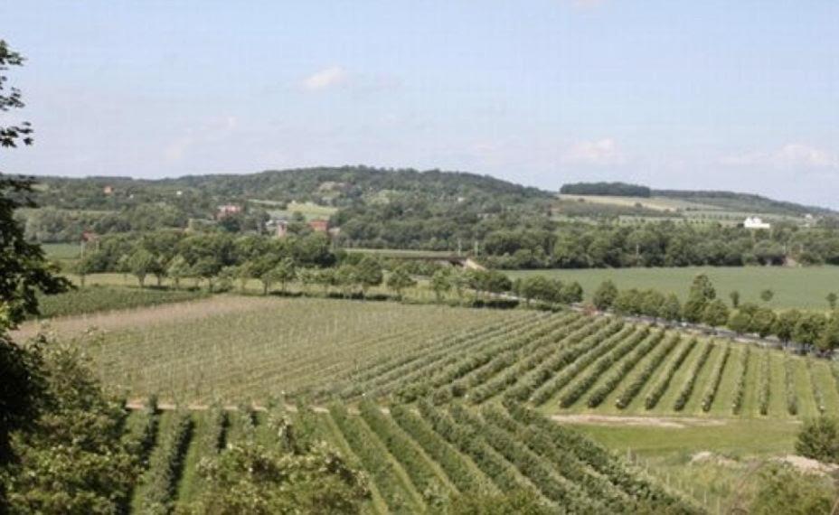 Ferienwohnung Zum Saaletalblick Naumburg  Zewnętrze zdjęcie