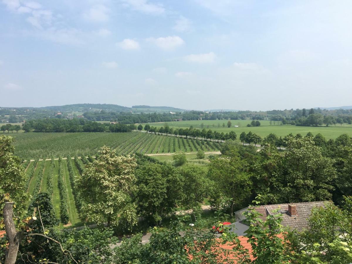 Ferienwohnung Zum Saaletalblick Naumburg  Zewnętrze zdjęcie