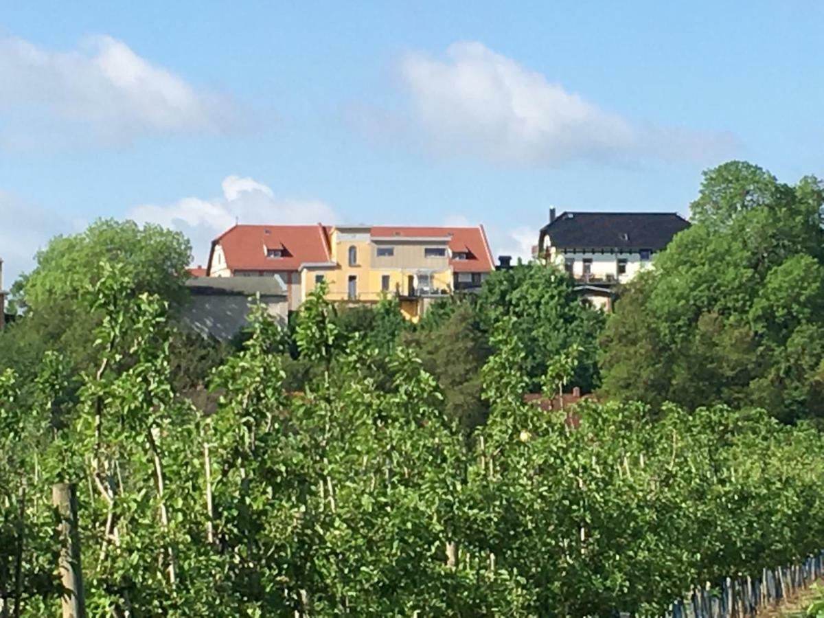 Ferienwohnung Zum Saaletalblick Naumburg  Zewnętrze zdjęcie